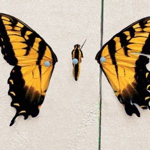 Meet your Posher, Aman